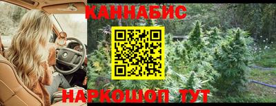 прущие крисы Кимры