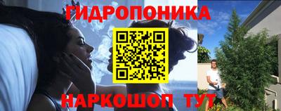 прущие крисы Кимры