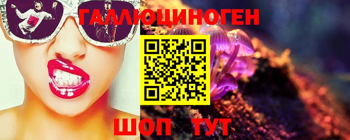Елец  Псилоцибиновые грибы мухоморы  Вход с VPN  Псилоцибиновые грибы мицелий 